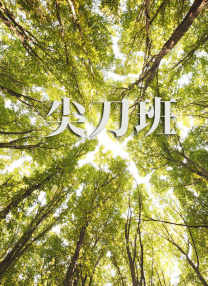 将军灬啊灬啊灬轻点野外